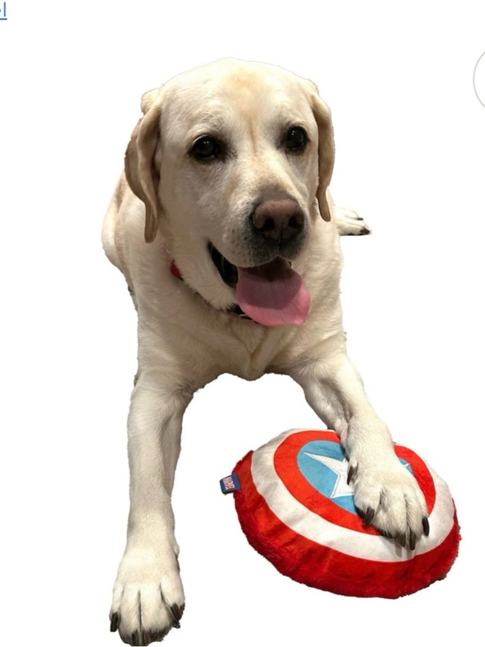Marvel Captain America Dog Toy - Red, White, Blue